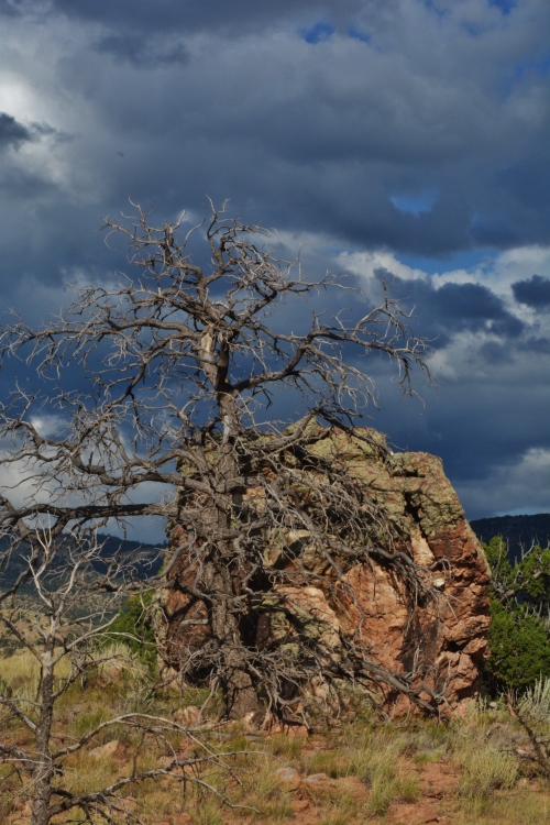 View from Chimney Rock Trail